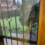 Zehra Ilidza Villa *