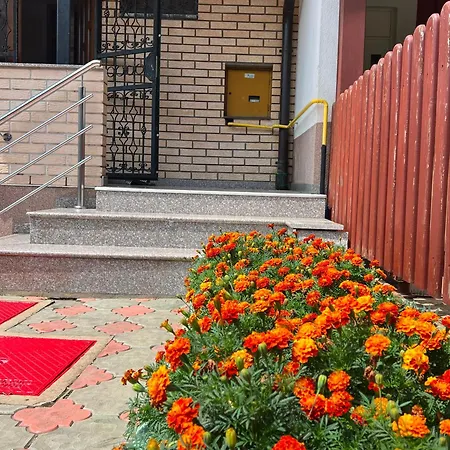 Zehra Ilidza Villa *
